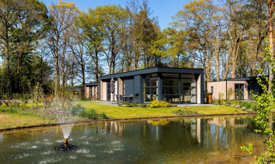 Moderne bungalow in bosrijke omgeving met vijver en fontein op de voorgrond, omgeven door groene bomen en gras.