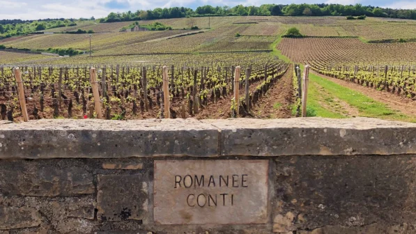 Wijngaard met stenen muur en inscriptie "Romanee Conti", groene velden en heuvels op de achtergrond onder een blauwe lucht.