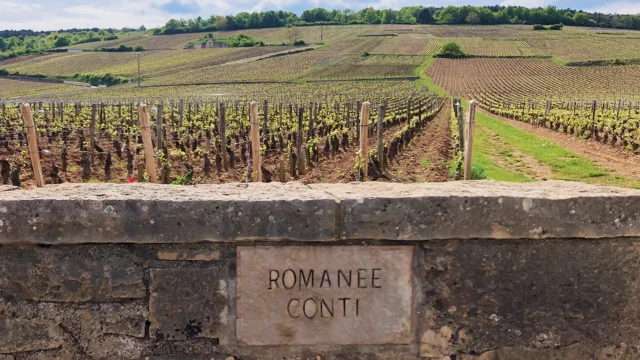 Wijngaard met stenen muur en inscriptie "Romanee Conti", groene velden en heuvels op de achtergrond onder een blauwe lucht.
